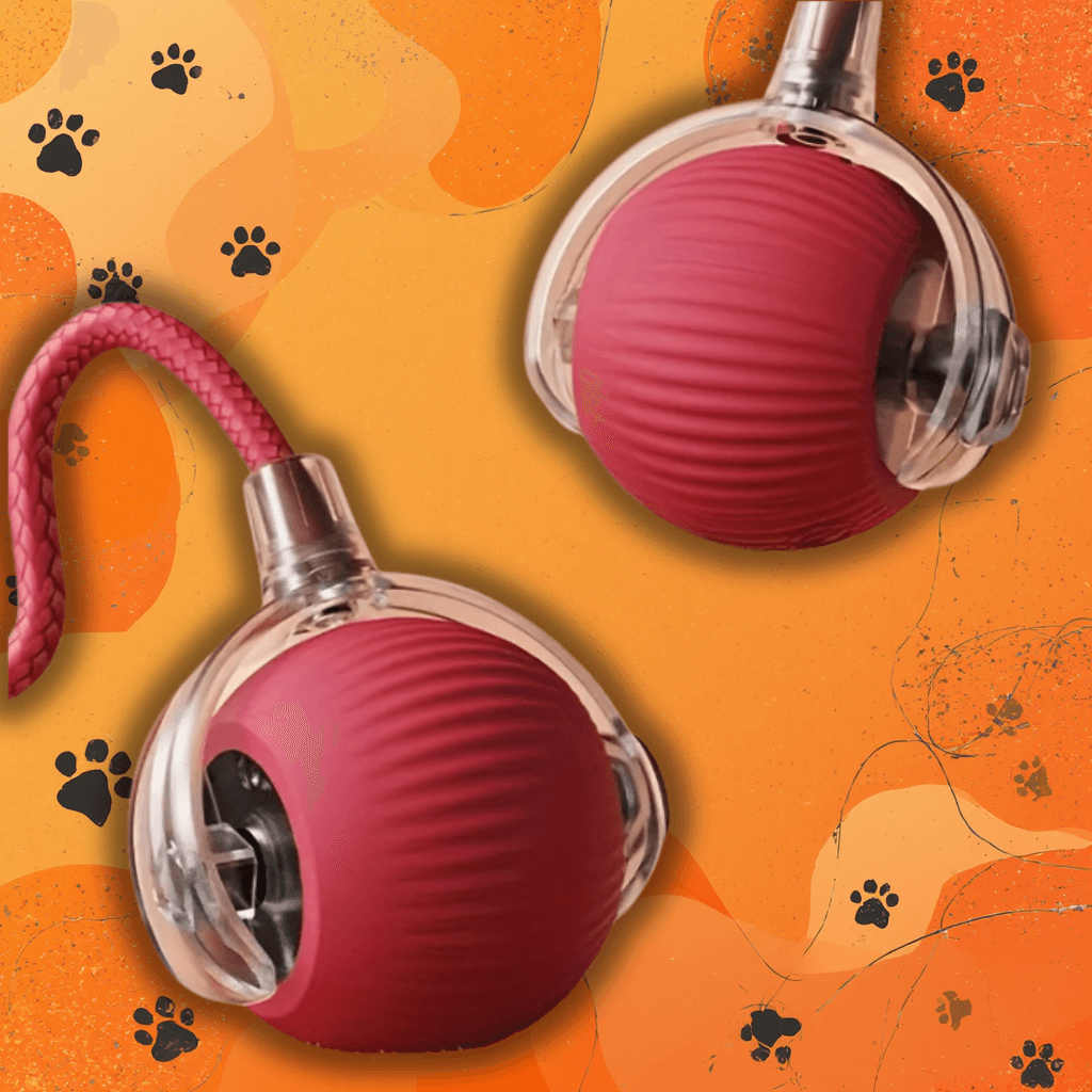 KociaFuria - Inteligentna Piłka dla Kota