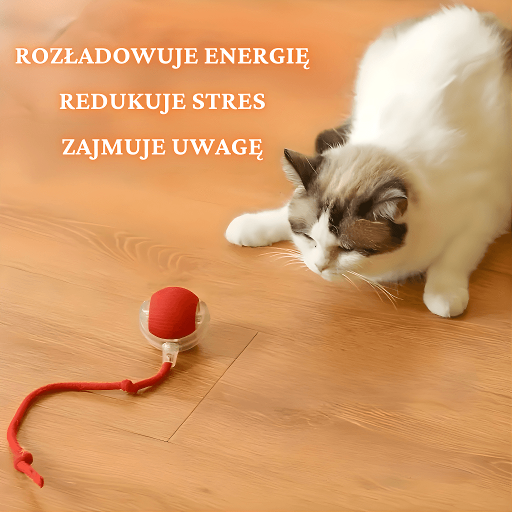 KociaFuria - Inteligentna Piłka dla Kota