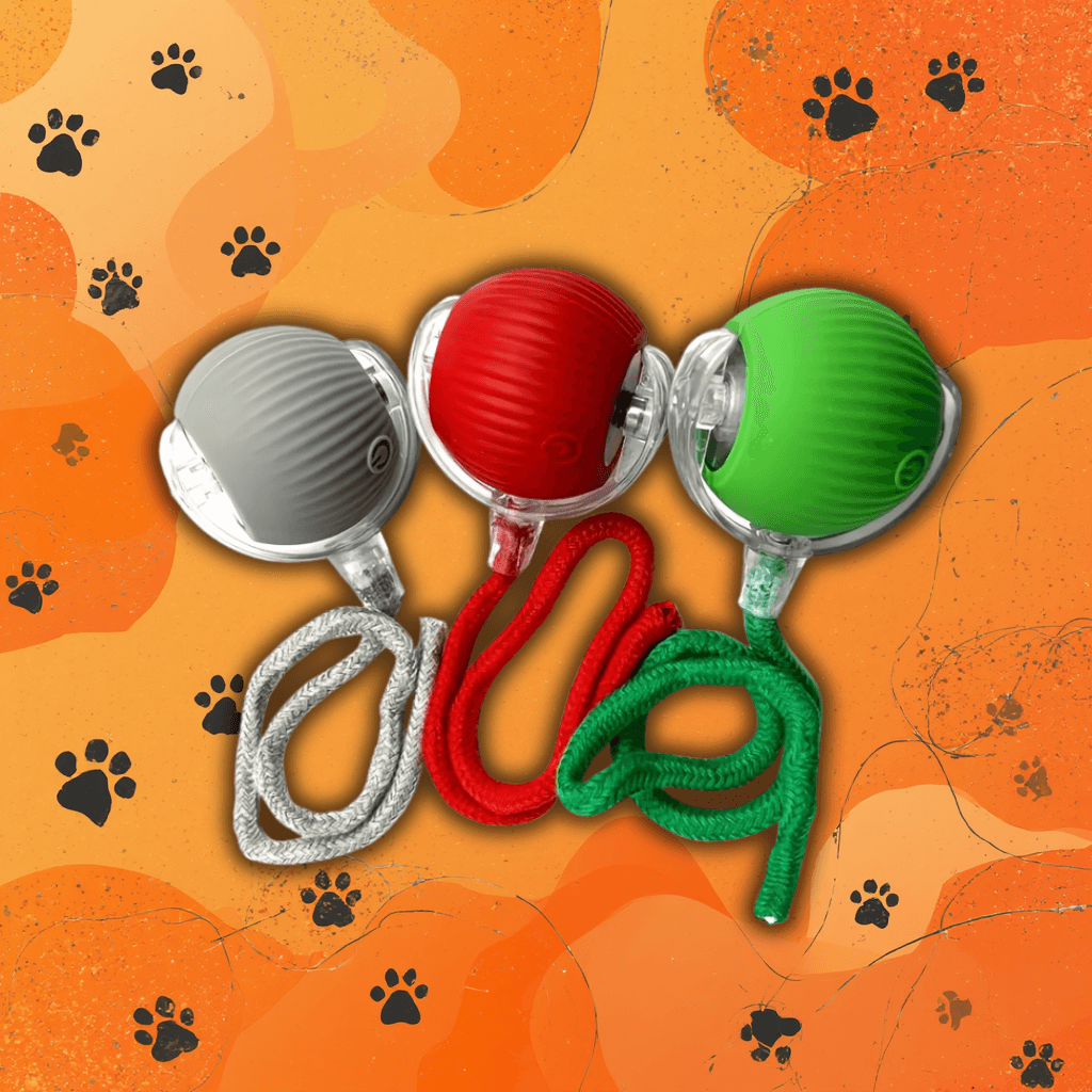 KociaFuria - Inteligentna Piłka dla Kota