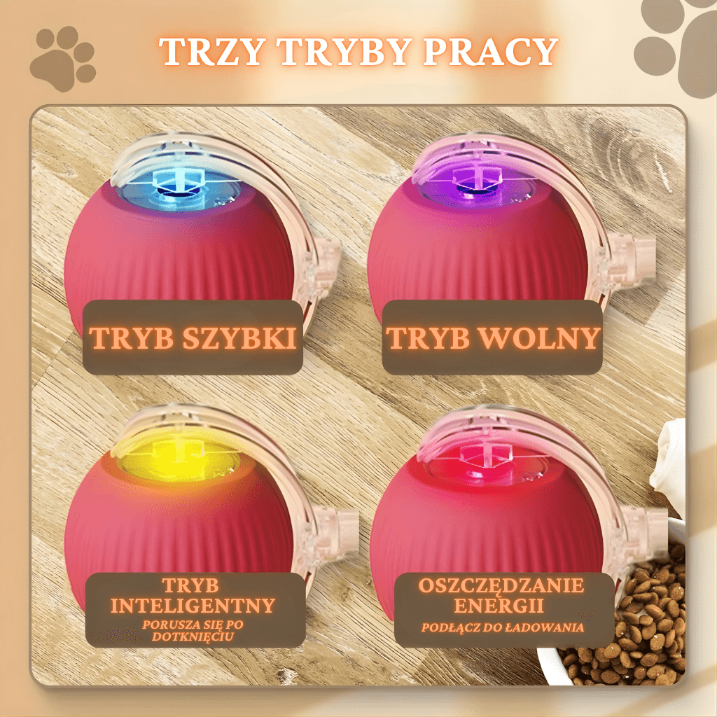 DLACZEGO POKOCHASZ KOCIĄFURIĘ? 😼